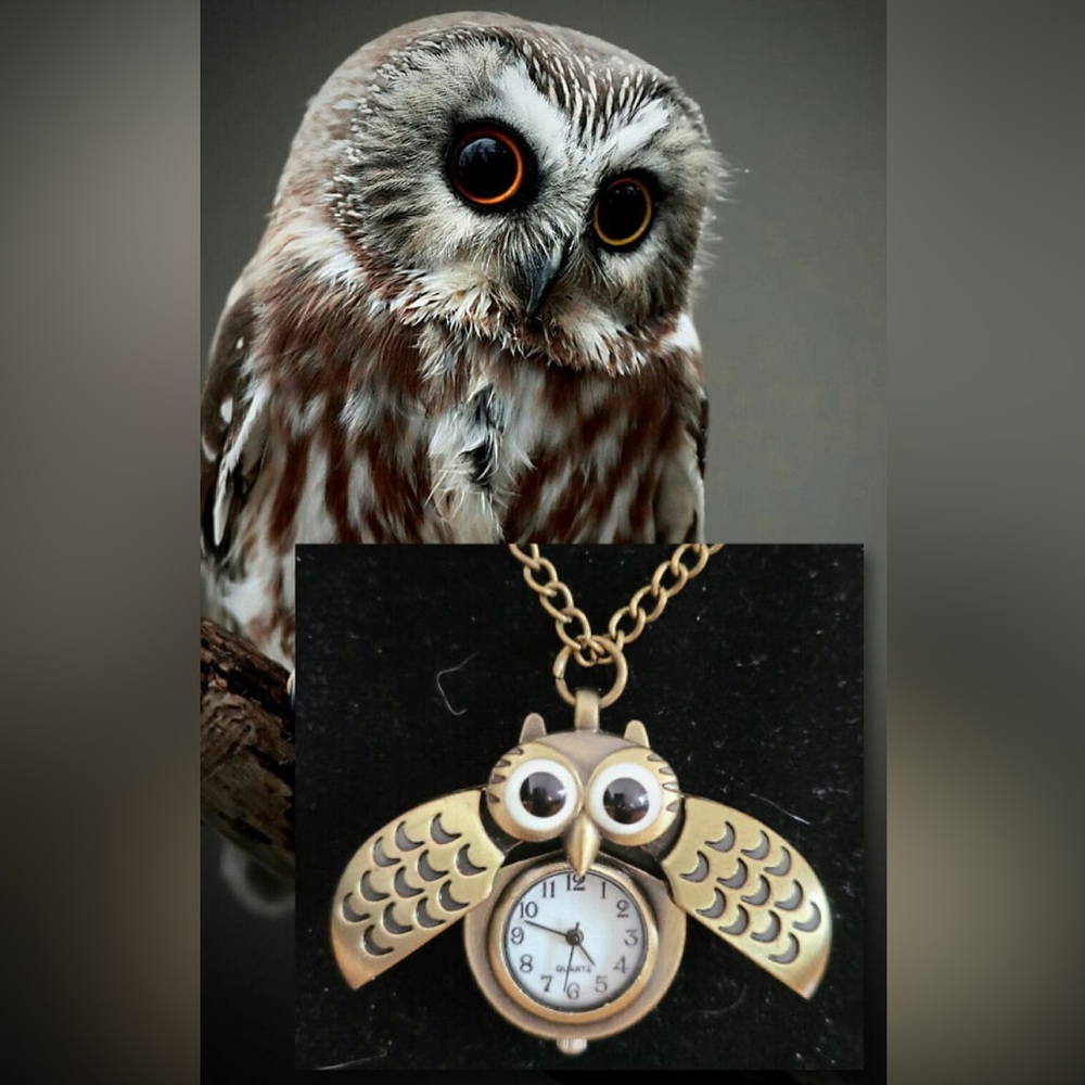 $5🦉Owl Pendant Necklace with Clock🦉New🦉$5 WHEN BUNDLED WITH 3 OR MORE ITEMS